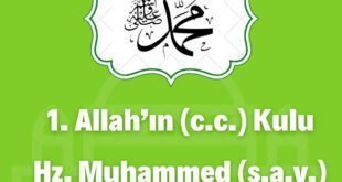 1. Allah’ın (c.c.) Kulu Hz. Muhammed (s.a.v.) 1 1. Allahin c.c. Elcileri Peygamberler 640x640