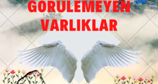 1. GÖRÜLEN VE GÖRÜLEMEYEN VARLIKLAR 5 1. GORULEN VE GORULEMEYEN VARLIKLAR