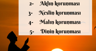 2. Dinin Temel Gayesi 4 Dinin Temel Gayesi